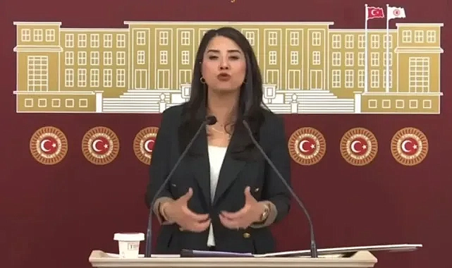 Dilan Kunt Ayan’dan Akçakale Sınır Kapısı ve Geçiş Ücretine İlişkin Soru Önergesi