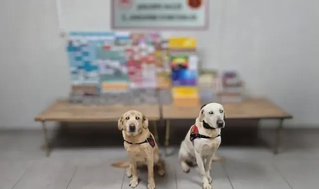 Kaçak ticaretine darbe! Urfa’da 27 şüpheli yakalandı!