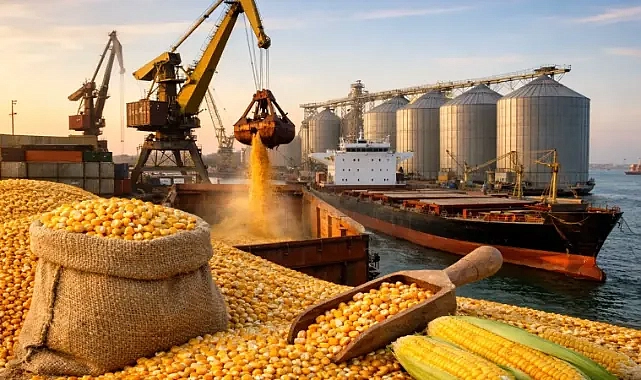 Mısır ithalatına geçici vergi indirimi!