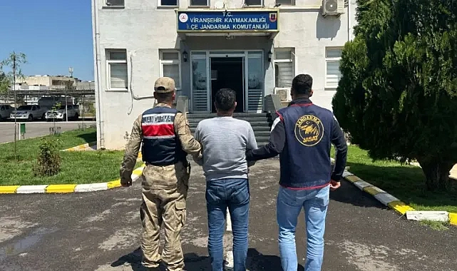 Şanlıurfa’da jandarmadan firari silah tacirine darbe!