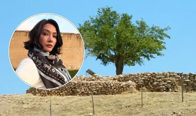Aybüke Pusat’tan Şanlıurfa yorumu: Son 9 ayda çözülemeyen her şey çözüldü