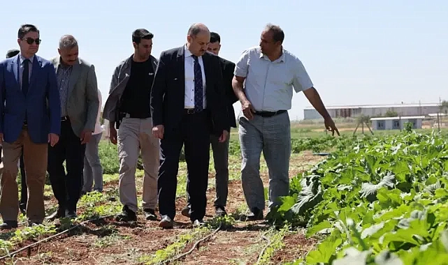 BAŞKAN GÜLPINAR’DAN DÜNYA ÇİFTÇİLER GÜNÜ MESAJI