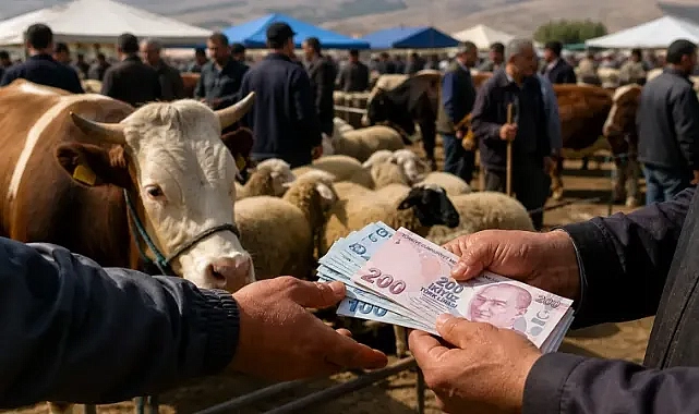 Bayram öncesi alarm: Kurban alırken bu hataları yapmayın!