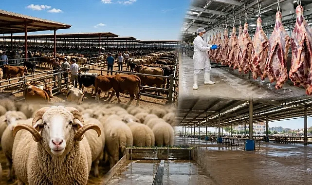 Eyyübiye Belediyesi kurban satış ve kesim yerlerini duyurdu!