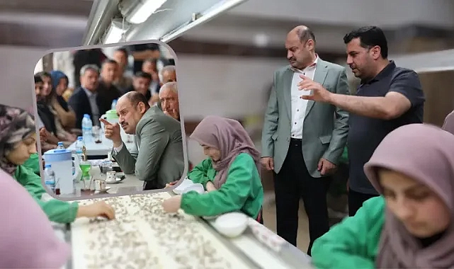 Gülpınar Birecik’te Urfa fıstığı ile ilgili konuştu