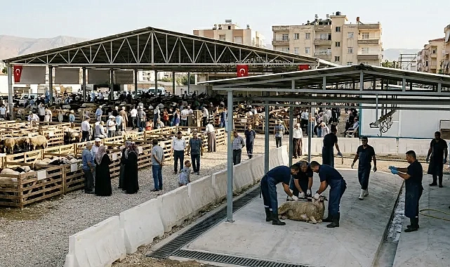 Haliliye’de kurban kesim ve satış yerleri belli oldu!