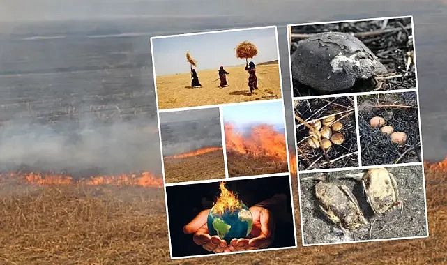 Öztürkmen’den anız yangınlarına sert uyarı