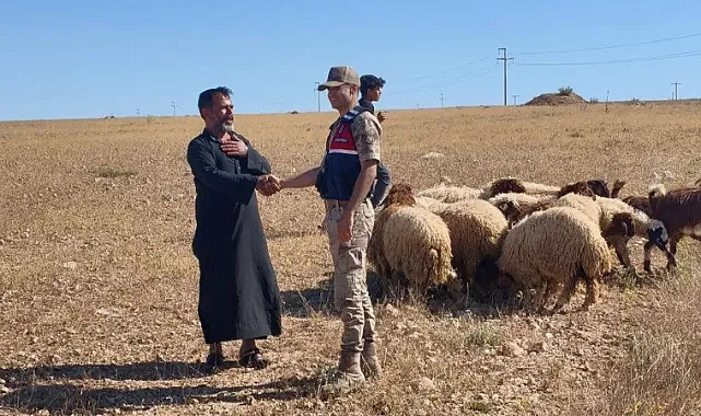 Şanlıurfa’da kaybolan hayvanlar drone çalışmasıyla bulundu!
