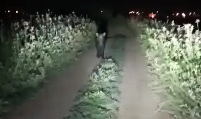 Şanlıurfa Harran’da gece saatlerinde görüldü!