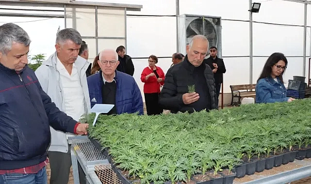 TBB heyeti, Şanlıurfa Büyükşehir Belediyesi’nin tarımsal üretimini inceledi