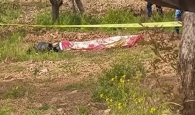 Urfa’da acı olay: Traktör sürücüsü hayatını kaybetti