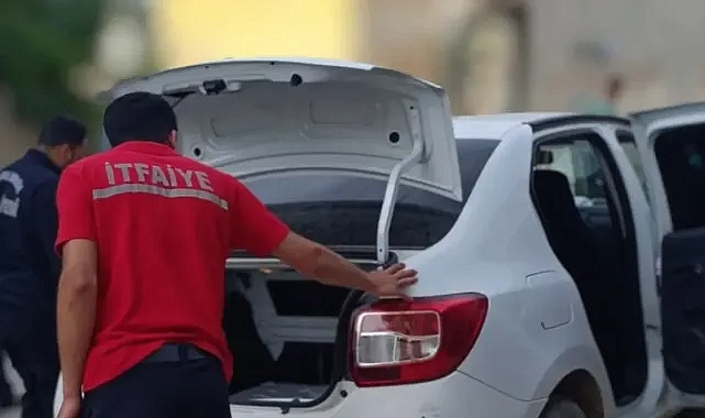 Urfa’da yılan paniği korkuttu!