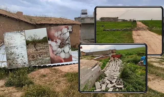 Urfa’yı vuran felaketin ardından açıklama geldi!