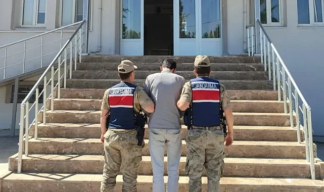 Dolandırıcılıktan aranan hükümlü Harran’da yakalandı