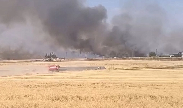 Harran’da korkutan yangın: Üç mahalle arasındaki buğday tarlaları alevlere teslim oldu!
