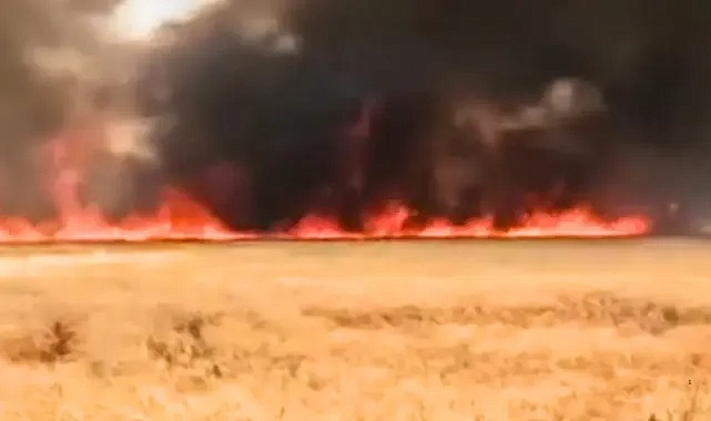 Harran’da korkutan yangın: Yüzlerce dönümlük alan alevlere teslim oldu