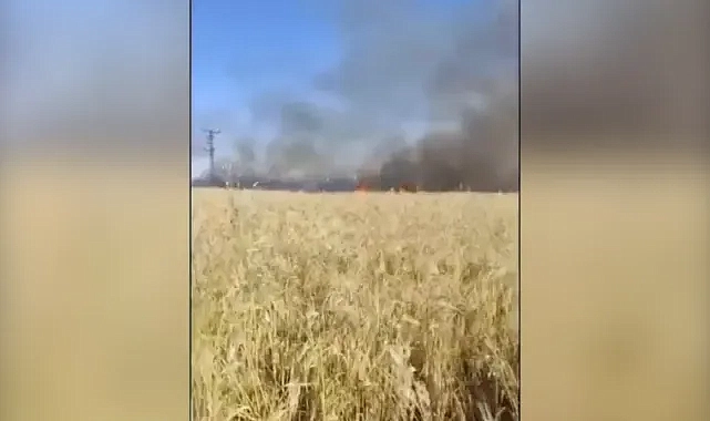Şanlıurfa Akçakale’de yangın paniği