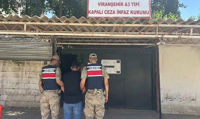 Şanlıurfa’da firari yağma zanlısı jandarmadan kaçamadı!