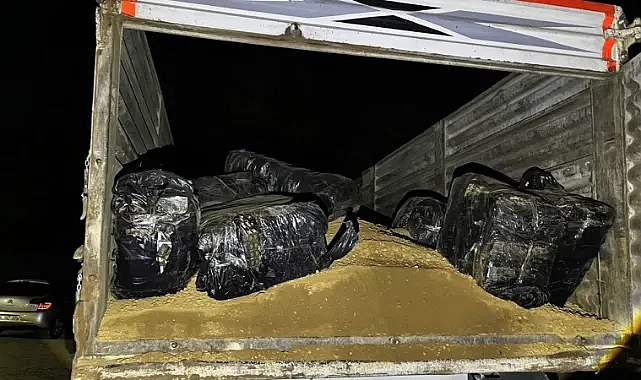 Şanlıurfa’da milyonluk kaçakçılık operasyonu