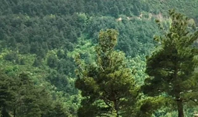 Şanlıurfa Valiliği kararı duyurdu: Giriş ve çıkışlar yasaklandı!