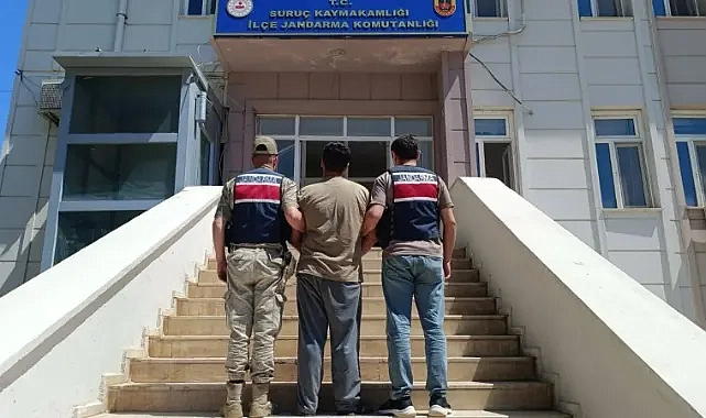 Suruç’ta dolandırıcılık hükümlüsü yakalandı