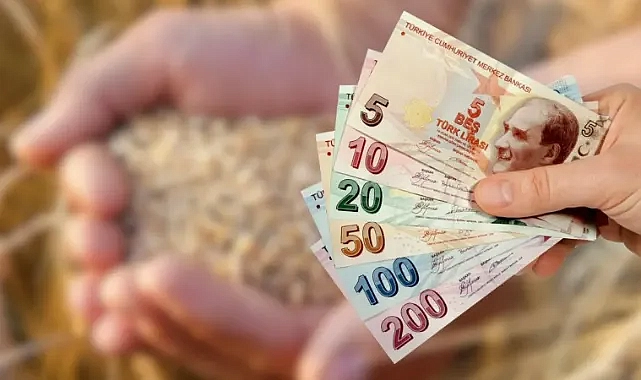 TMO 2026 yılı hububat alım fiyatlarını duyurdu!