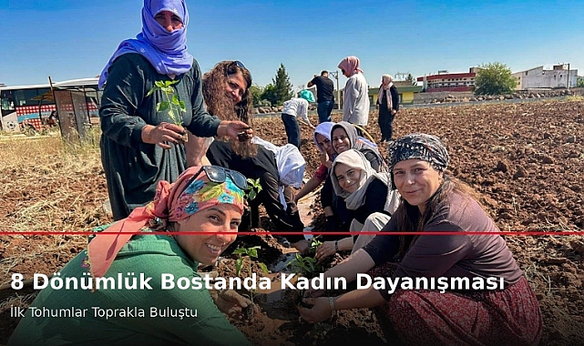 Viranşehir’de Kadınlar Toprağa Umut Ekiyor