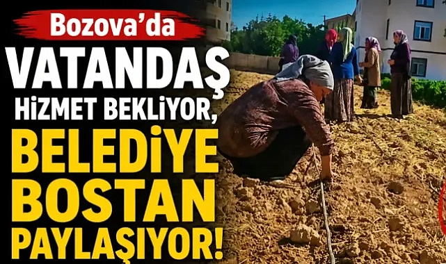 Bozova’da Vatandaş Hizmet Bekliyor, Belediye Bostan Paylaşıyor!