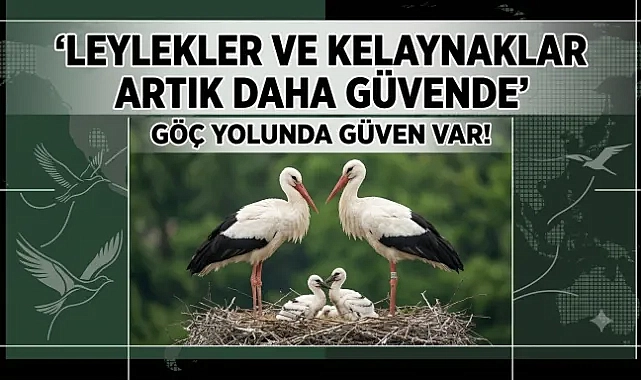 Doğal Yaşama Enerji Veren Proje: Göçmen Kuşlar Dicle Elektrik İle Güvende