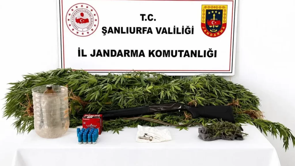 Şanlıurfa’da uyuşturucu operasyonu! Esrar, kenevir ve tüfek ele geçirildi