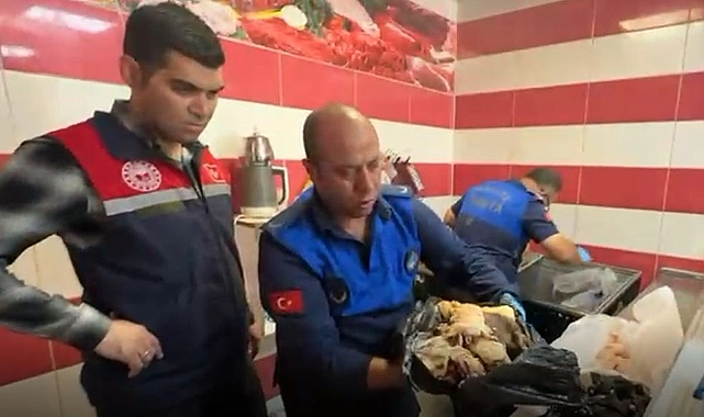 Haliliye’de Gıda Denetimlerinde Taviz Yok: İşletmeler Mühürlendi