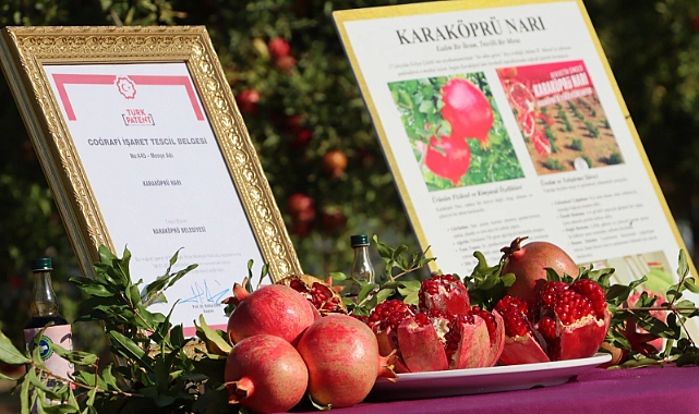 Karaköprü’de 2. Nar Festivali Öncesi Hasat Heyecanı