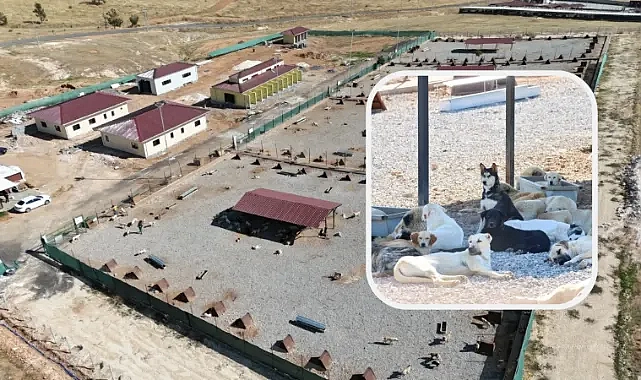 Karaköprü Hayvan Bakımevinde sona doğru
