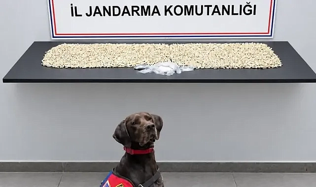 Şanlıurfa’da uyuşturucu operasyonu: 14 bin 410 captagon ele geçirildi