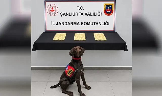 Şanlıurfa’da uyuşturucu operasyonu: 2 bin 970 Captagon hap ele geçirildi