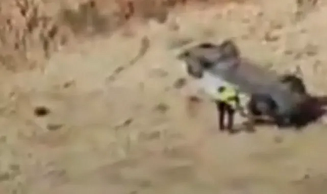 Şanlıurfa-Suruç Yolunda Feci Kaza: 1 Kişi Hayatını Kaybetti