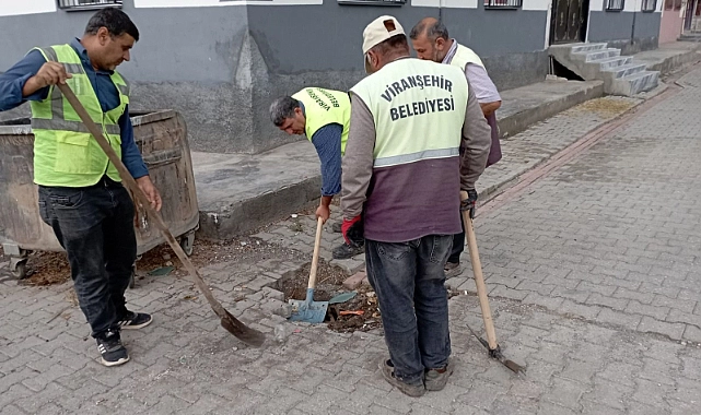 Viranşehir’de Yağış Alarmı: Ekipler Teyakkuzda